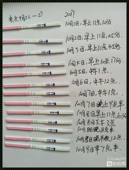 排卵了没来月经是怎么回事？揭秘女性生理之谜