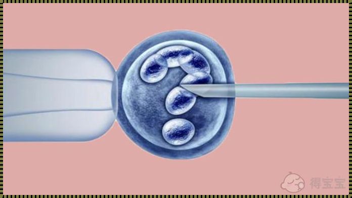 绝经可以做供卵试管婴儿吗：让爱的延续跨越时空的界限