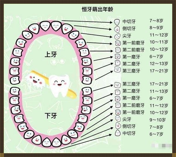 儿童换牙时间表：你的孩子换牙正常吗？