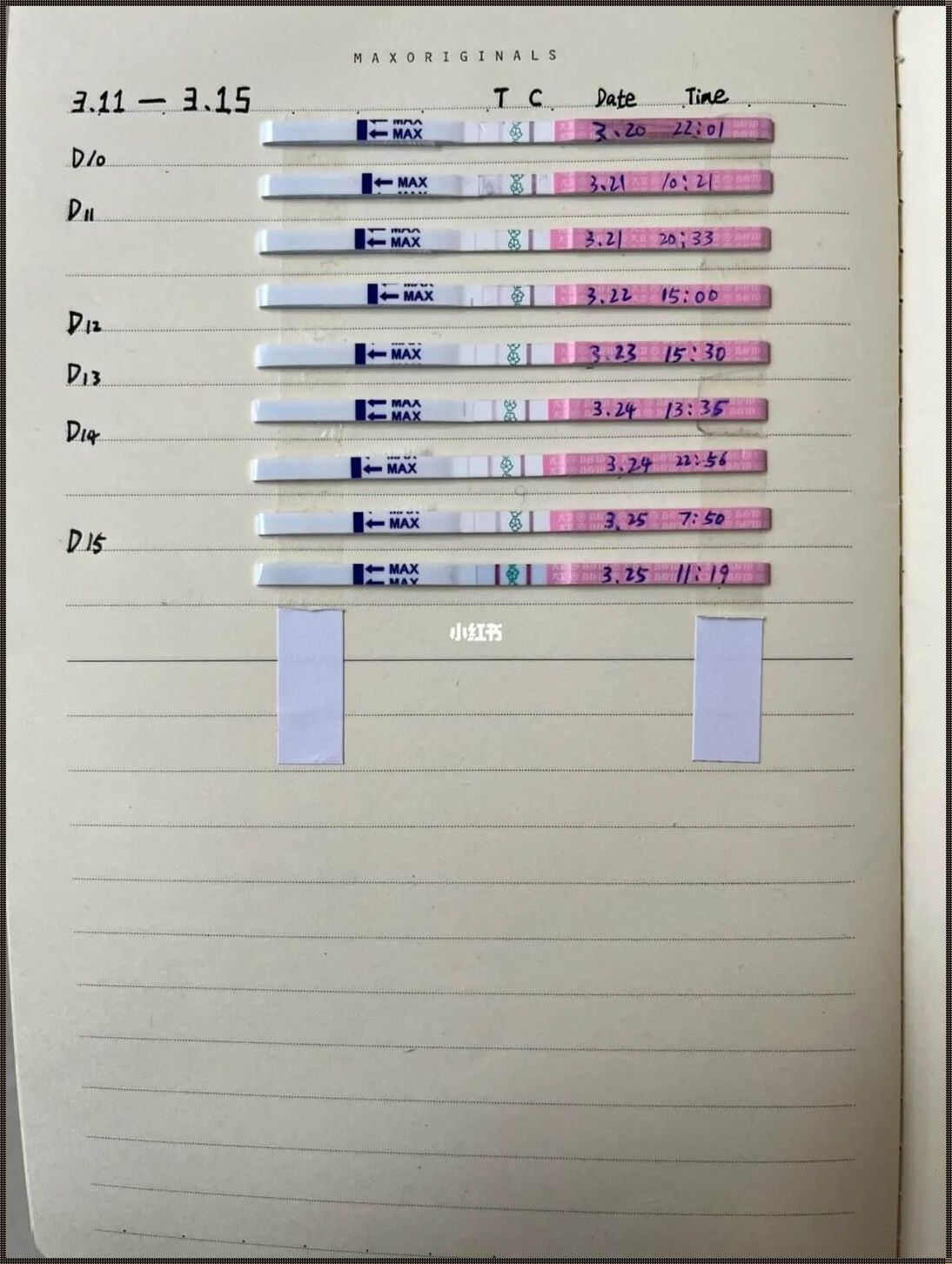 测排卵试纸的最佳时间：揭秘女性排卵期的神秘面纱