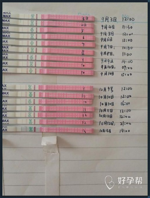 卵泡试纸准不准：探索新品上市的准确性与可靠性