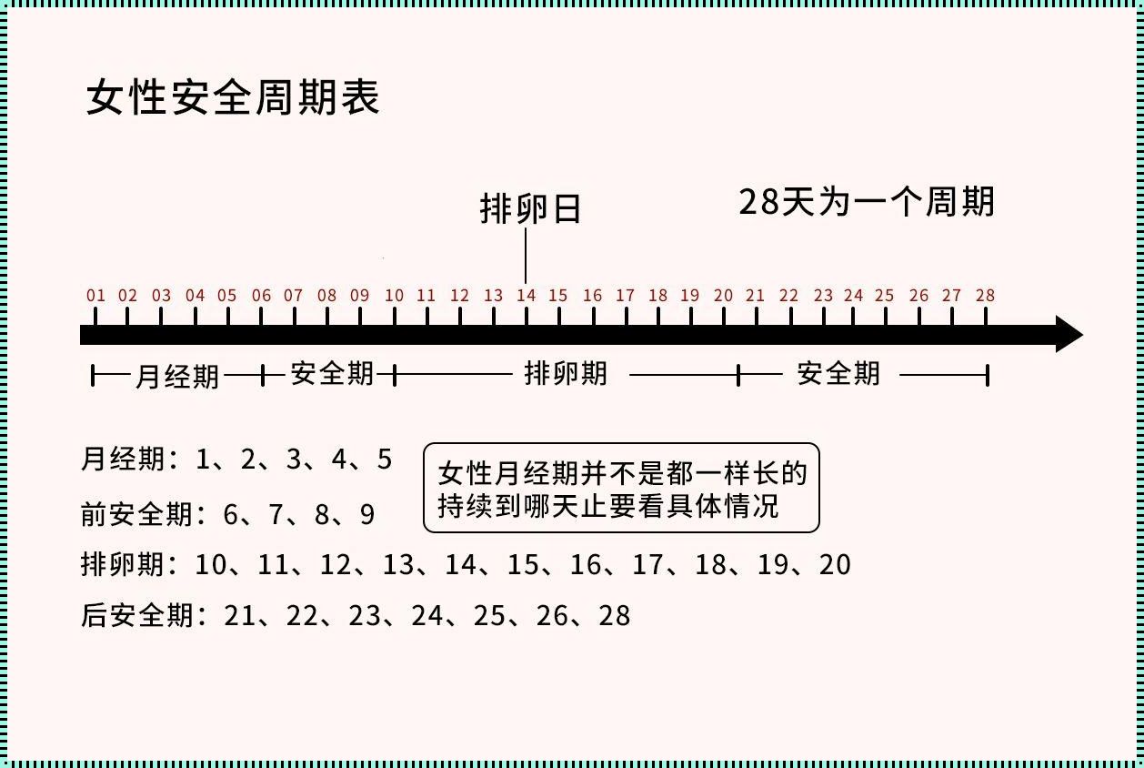 排卵期同房怎样提高怀孕几率