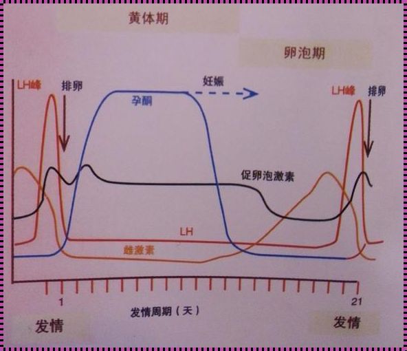 排卵障碍的症状是什么