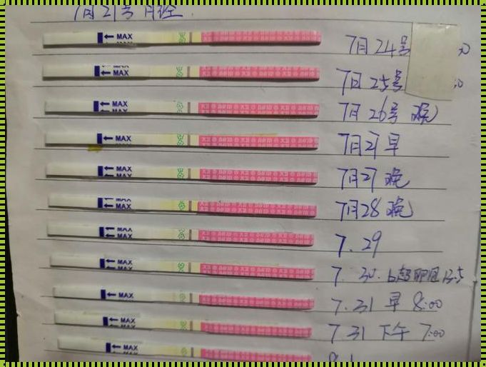 排卵试纸和测孕纸一样吗？揭秘