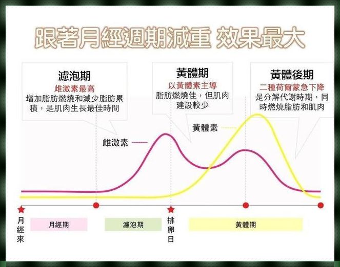 排卵期出血后分泌物增多：探究与关注