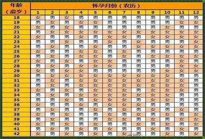 2023年生龙备孕表是男孩：神秘的性别预测之旅
