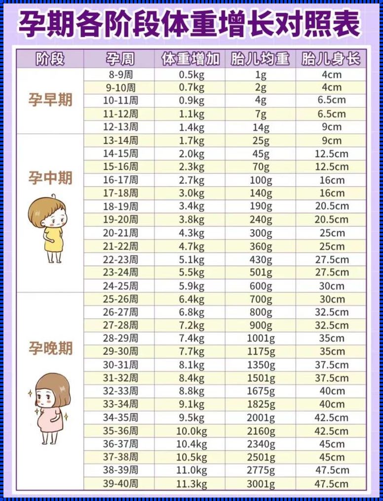 19周胎儿体重应该是多少正常