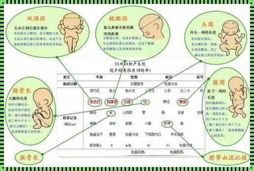 胎心异常名词解释：深入了解与关注