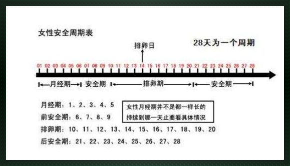 4号来的月经什么时候是排卵期