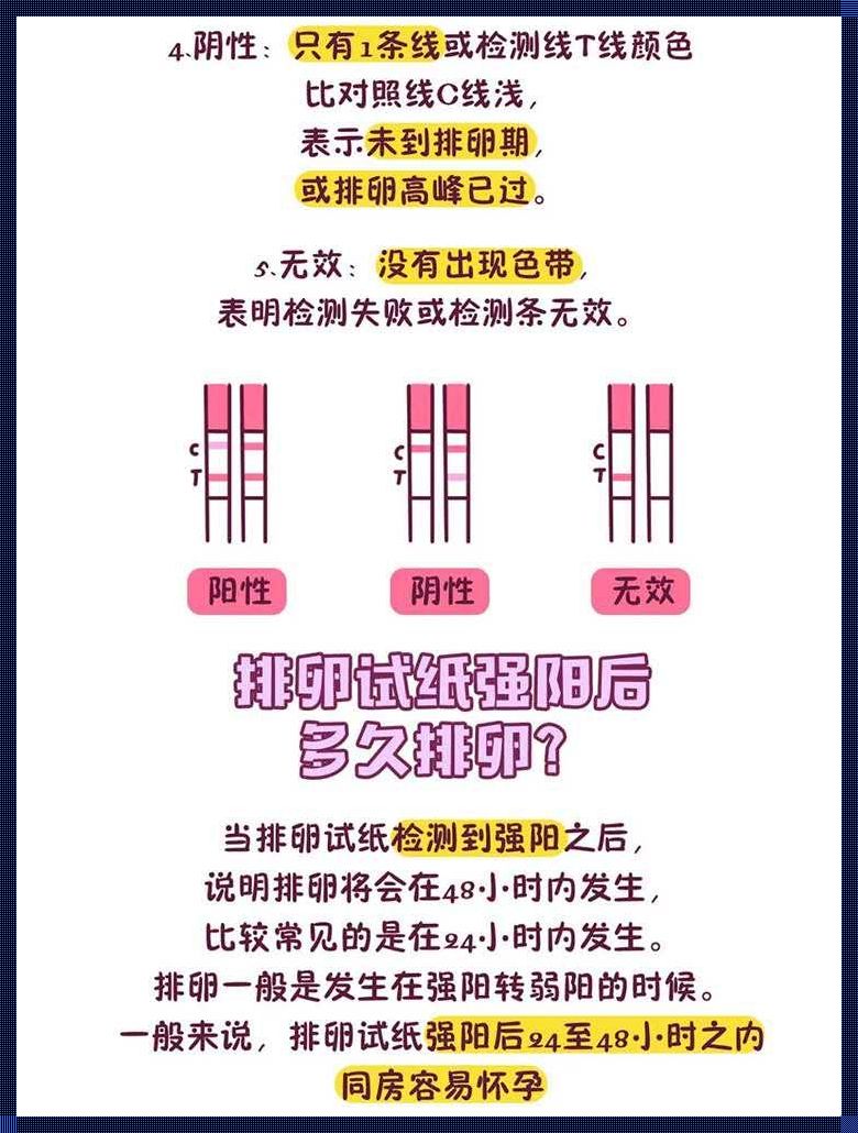 康乃格排卵试纸怎么用：深入了解与实用指南