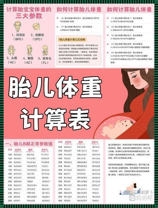 胎儿体重最新标准表2023：惊现未来健康的密钥