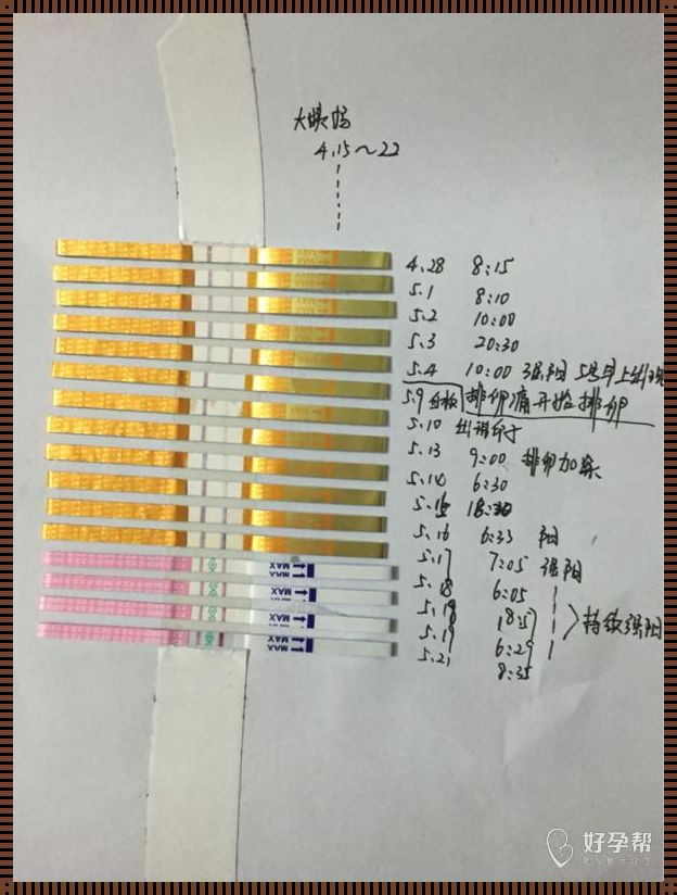 着床初期排卵试纸变化图：探寻孕育生命的神秘之旅