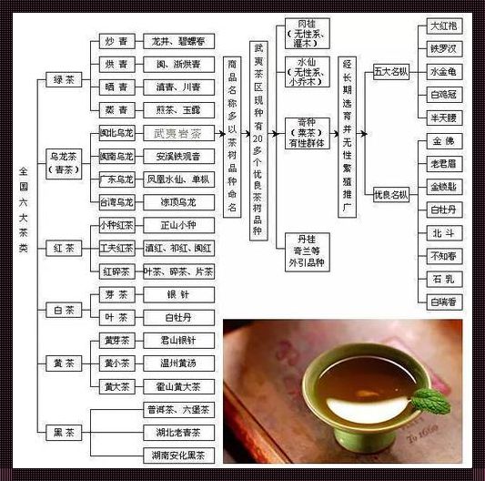 普洱生茶：六大茶类中的独特之处