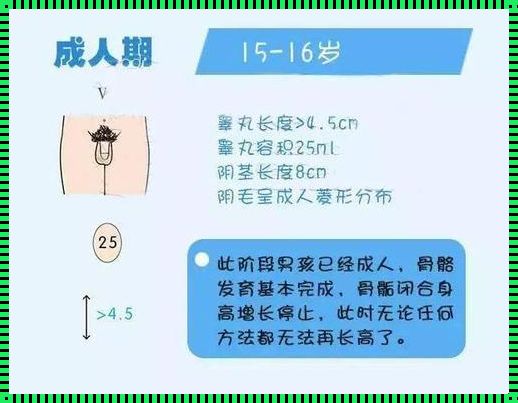 宝宝发育：性别差异的奥秘