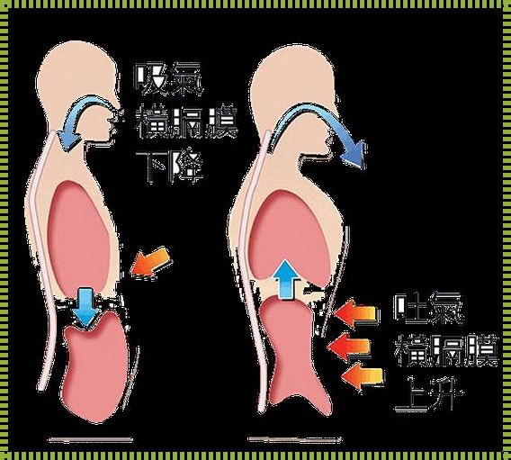 剖腹产后能做腹式呼吸吗：一位母亲的极限挑战