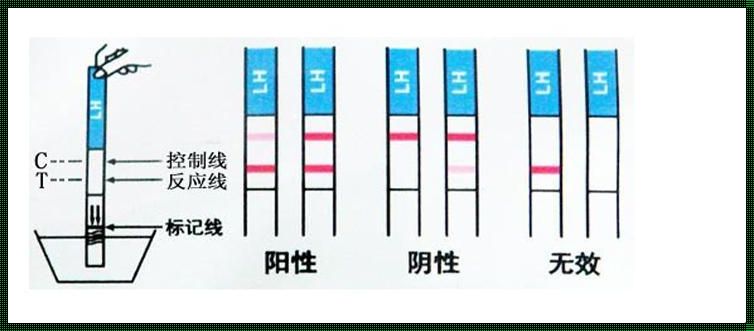 排卵试纸阴性可以不吃避孕药吗？揭秘