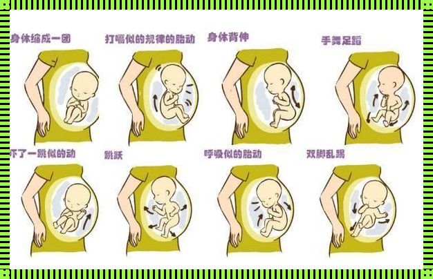 胎动频繁和缺氧区别