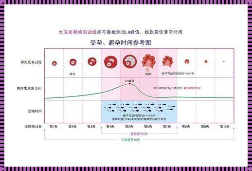 月经不规律怎么算怀孕天数