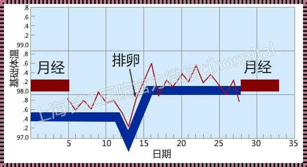 排卵高峰期一般持续多长时间