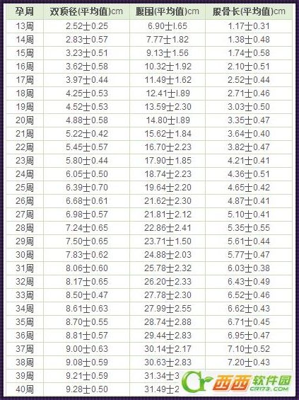 计算胎儿体重公式：让爱从腹中就开始成长