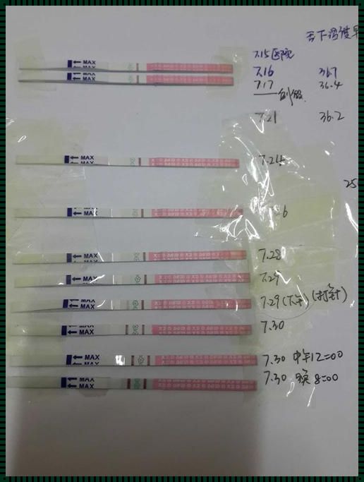 排卵试纸一条杠是排完卵了吗