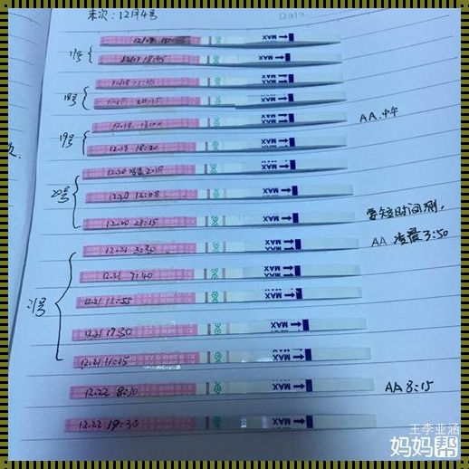 排卵试纸一深一浅卵泡发育好吗