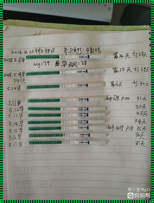 试纸测到强阳后多久排卵：深入了解自然规律