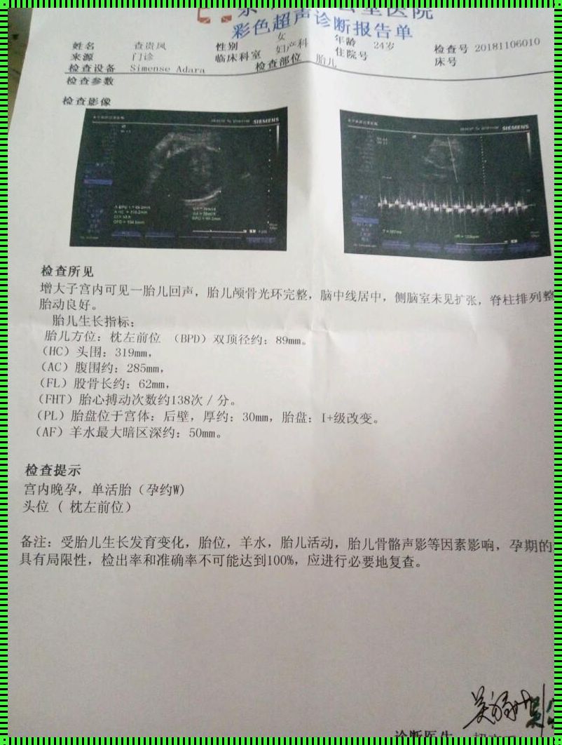 孕36周医生教你看男女：探索生命的奥秘