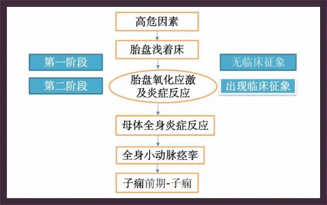 慢性高血压合并重度子痫前期的挑战与探讨