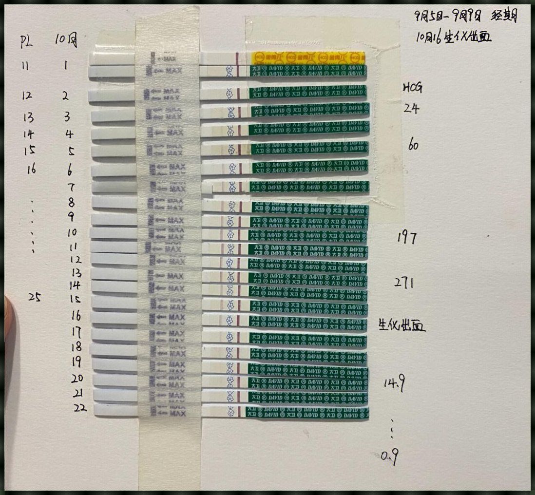 半定量测到25多久排卵：探寻排卵的奥秘