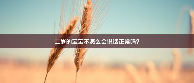 二岁的宝宝不怎么会说话正常吗？