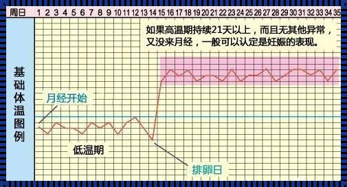 还有5天排卵日会怀孕吗？揭秘怀孕的神秘面纱