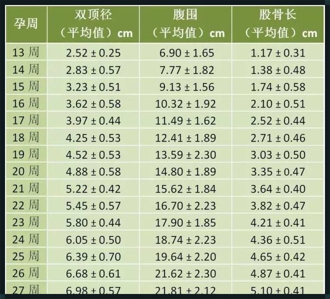 胎儿发育周期对照表：揭开生命神秘面纱的初步探索