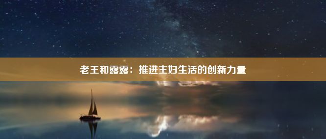 老王和露露：推进主妇生活的创新力量