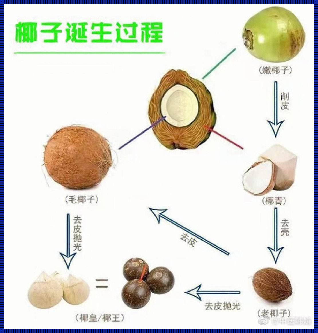 椰子的功效与作用：自然的恩赐