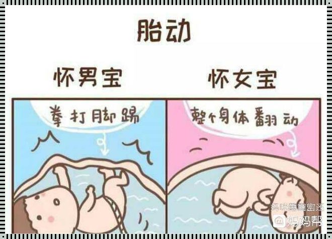 医生说胎儿腿短是暗示：揭秘