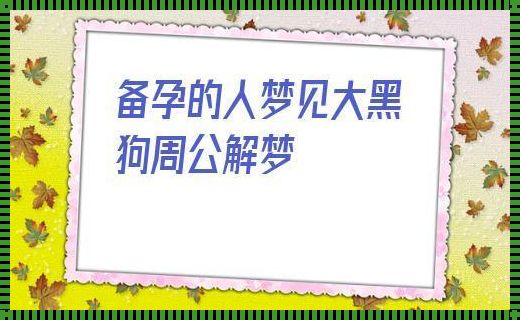 备孕梦见黑狗是胎梦吗？揭秘梦的深层含义