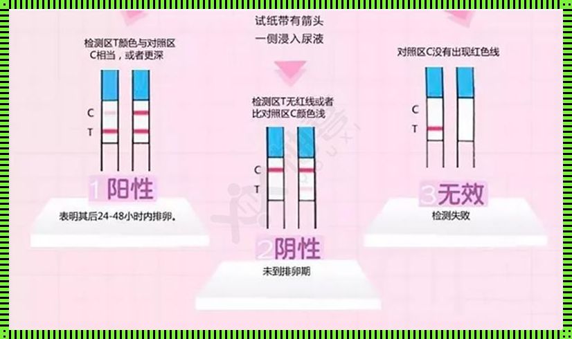 排卵试纸怎么用图解教程