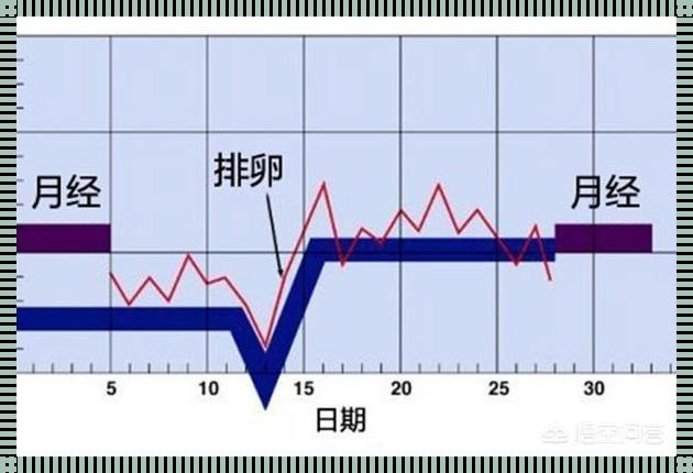 排卵期的前几天容易怀孕：深入了解与探讨