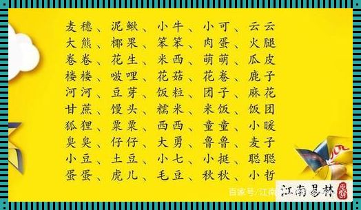 属龙宝宝小名乳名大全：让你的宝宝名字更温馨、更独特