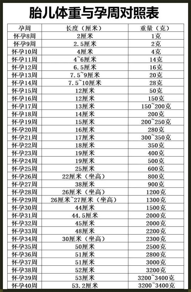 32周胎儿体重是多少斤