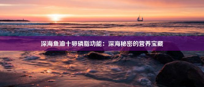 深海鱼油十卵磷脂功能：深海秘密的营养宝藏