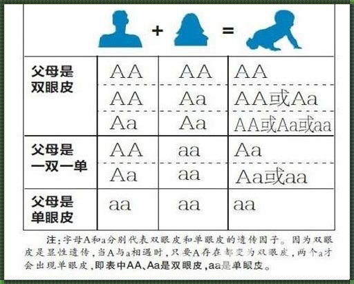 遗传基因：生命的密码与奥秘