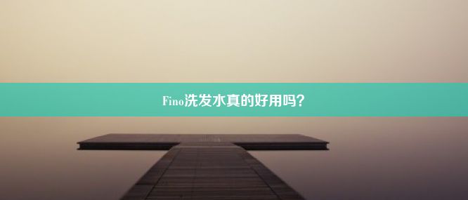 Fino洗发水真的好用吗？