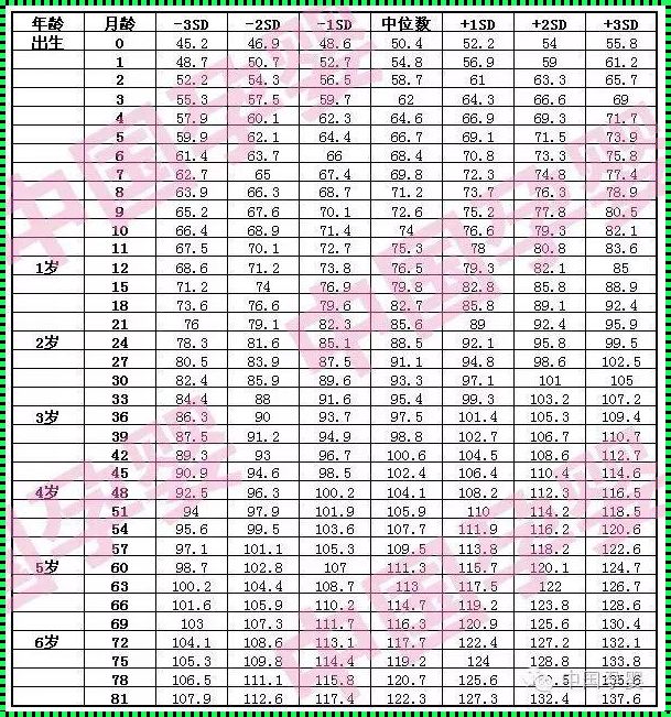 11个月宝宝身高体重标准表：关注宝宝健康成长