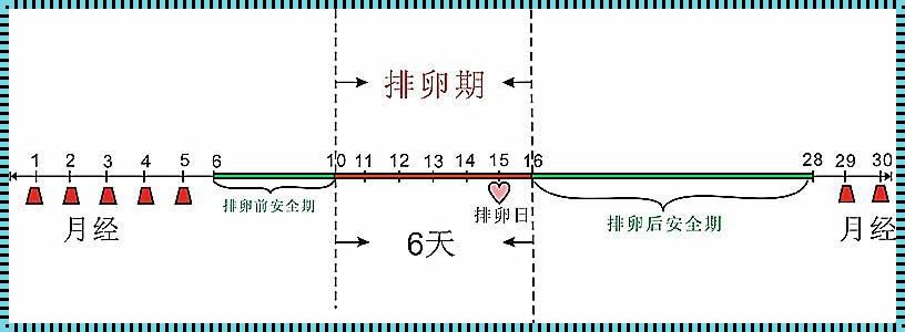 什么时间段不会怀孕