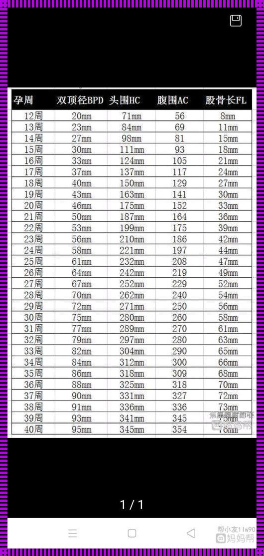 32周胎儿发育对照表：成长的里程碑