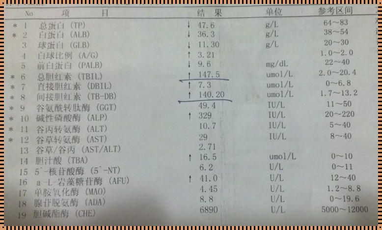 蚕豆病新生儿黄疸多高才超标：一种深入探究