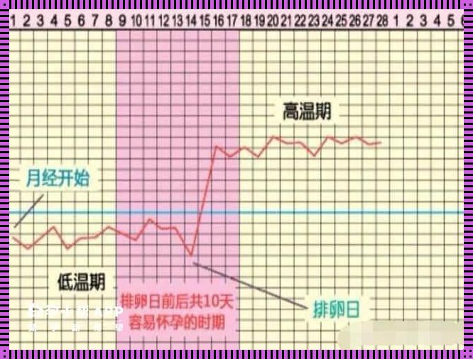 精卵结合到受孕需要多长时间：探讨生命起始的奇妙旅程