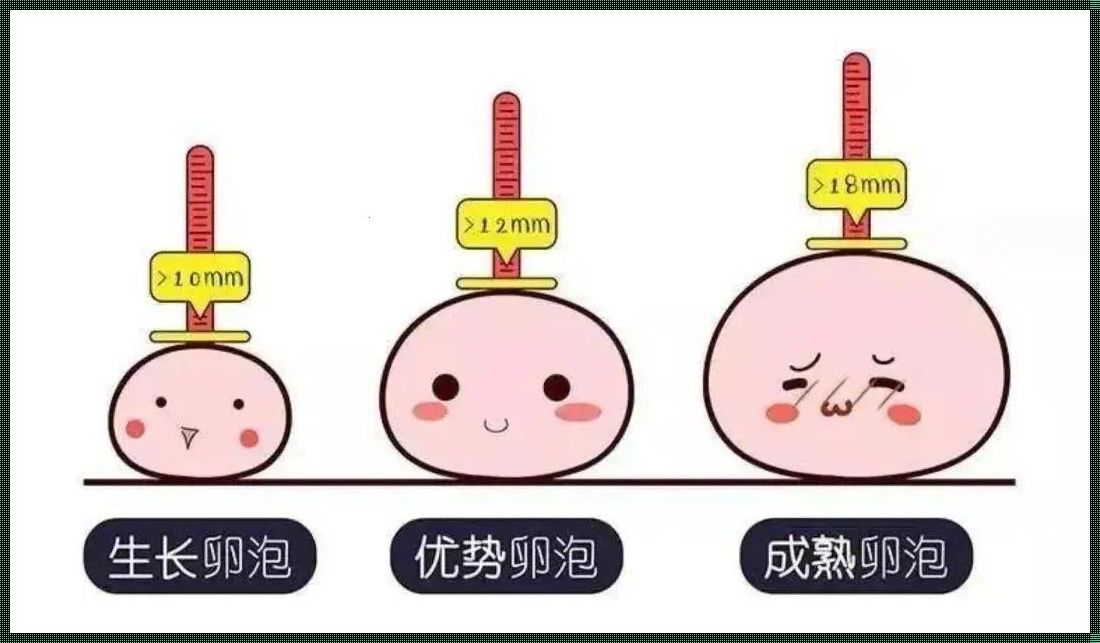 卵子真的要养三个月吗